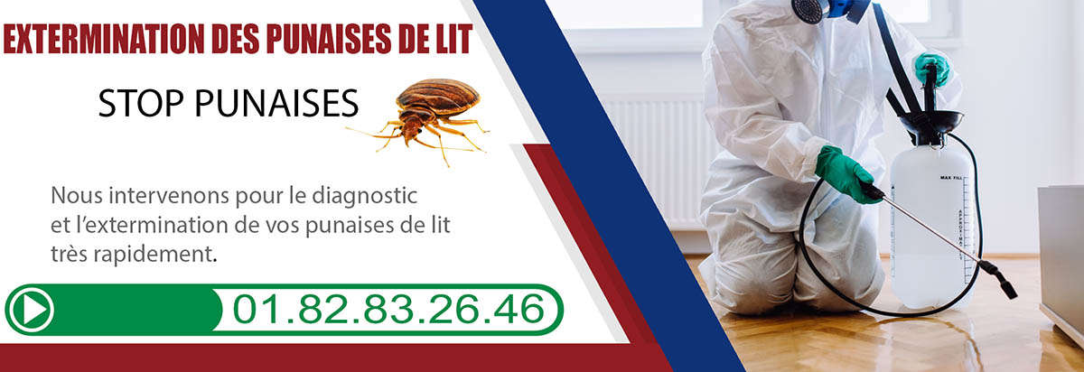 Punaises de Lit Le Blanc Mesnil 93150